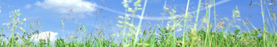 healthy air